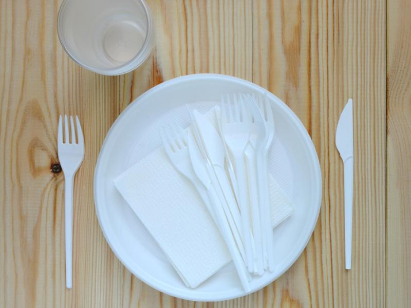 Plastic Plate Fork/Knife