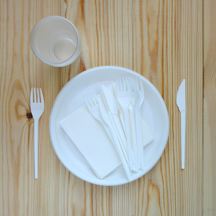 Plastic Plate Fork/Knife